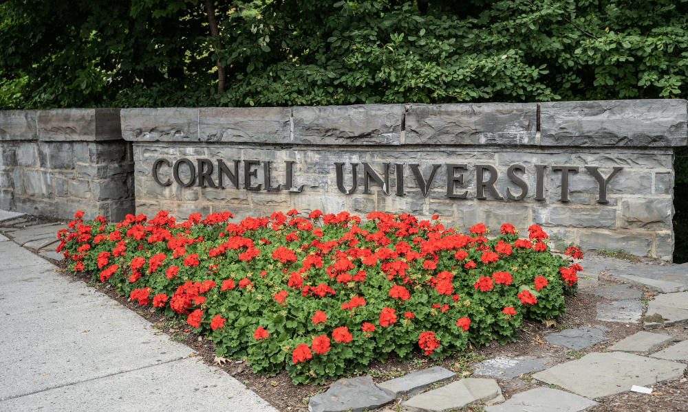 Lawsuit revives 2024 Cornell University assault incident