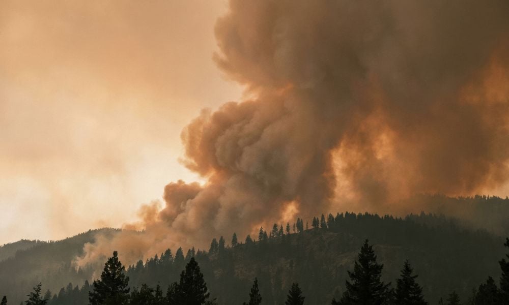 The impact of wildfire smoke 