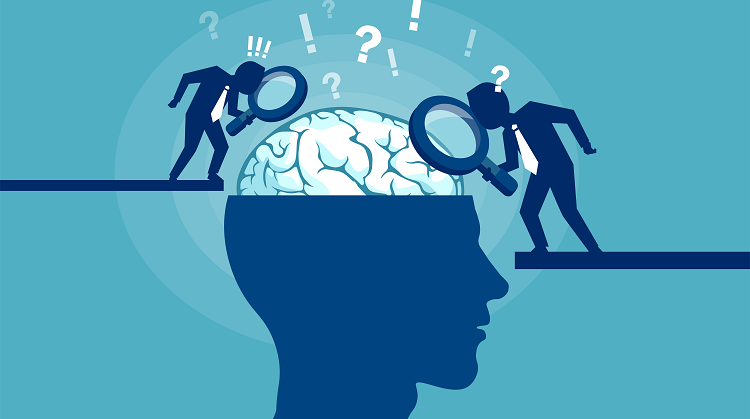 The neuroscience of safety decisions 
