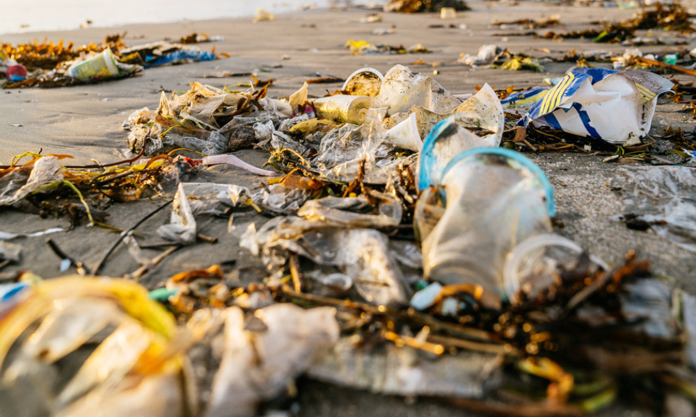 Plastics pollution could lead to litigation payouts of up to US$20 billion in the next eight years