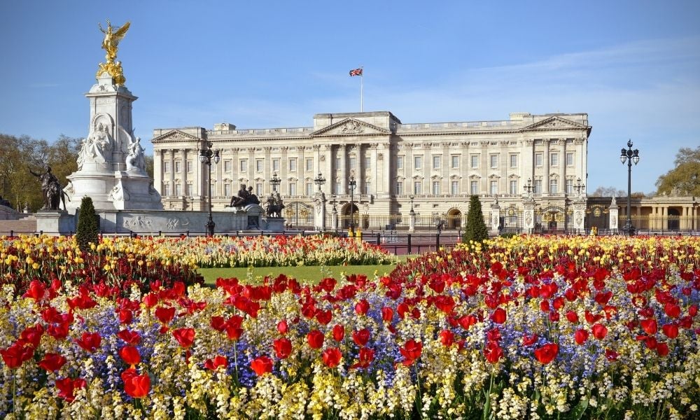 Will Buckingham Palace appoint 'diversity tsar'?
