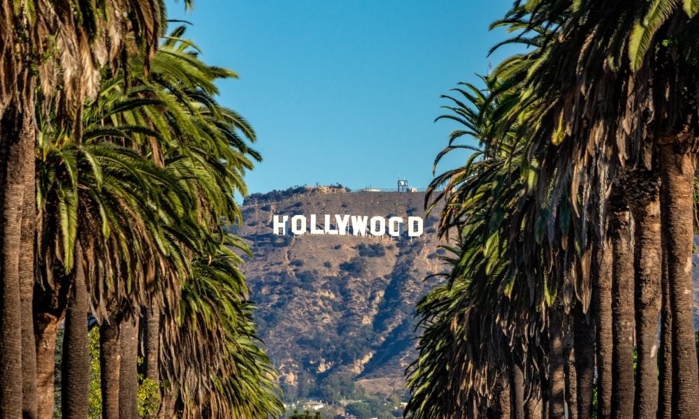 Hollywood union faces DEI challenges