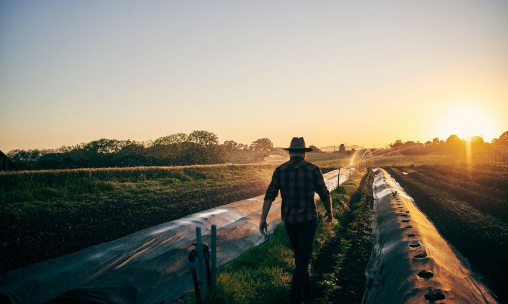 Seasonal Agricultural Workers Program provides valuable opportunities