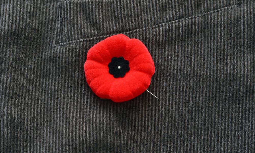 Province proposes law prohibiting workplace poppy bans