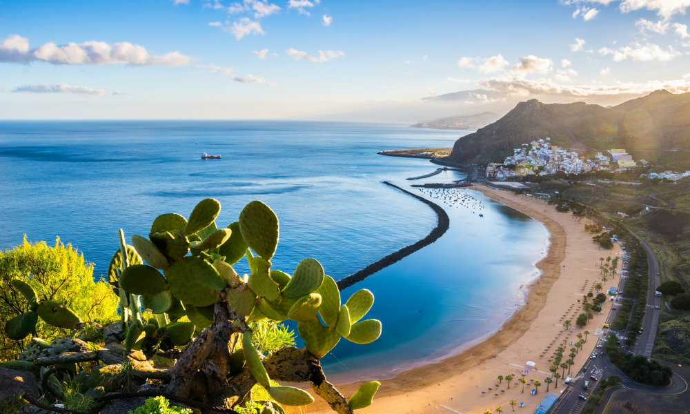 Firm takes all employees to Tenerife for vacation