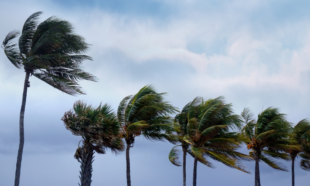 Employers advised to keep workers safe during hurricane season