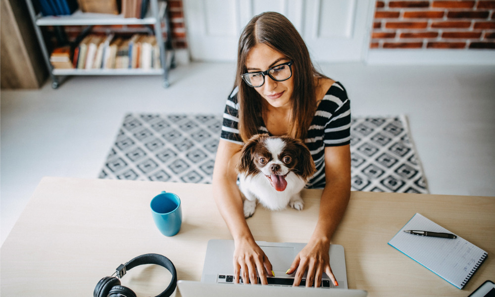 The perks and pitfalls of working from home