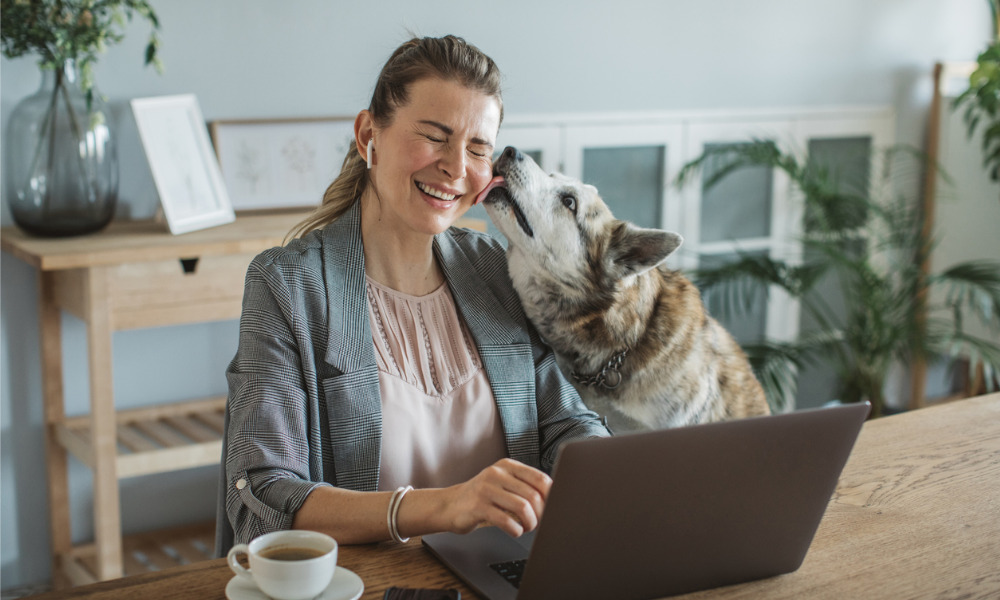 Fun Friday: Do pets make better co-workers than your partner?