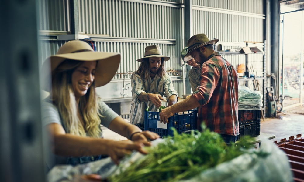 Australia's unemployment rate stays record low