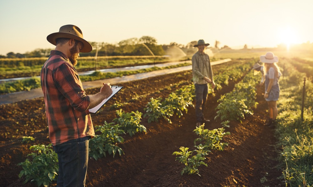 Seasonal worker numbers soar by 450% in five years: report