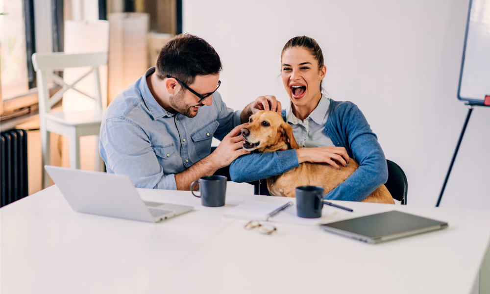 Fun Friday: #NationalPetDay comes to the workplace