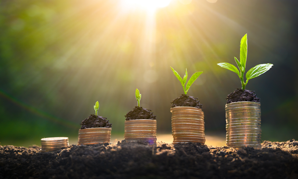 Free whitepaper: Unlocking Talent Value