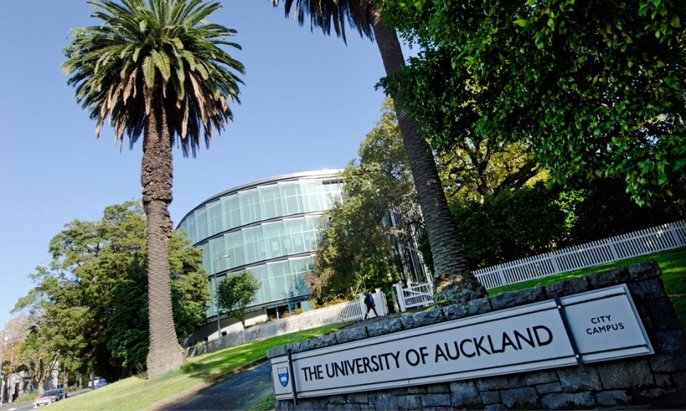 New Zealand researchers lead framework for AI use