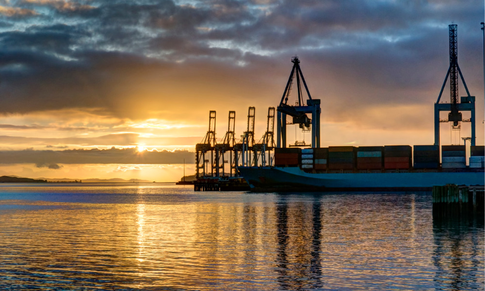 Probe begins on recent port fatalities in NZ