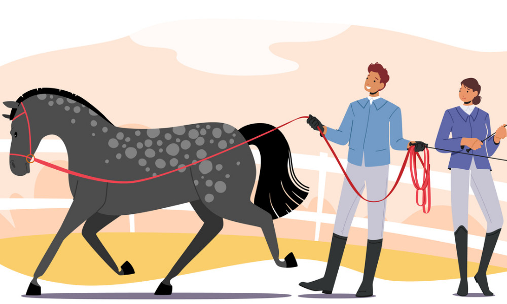 Would you trust a horse to train your leadership team?