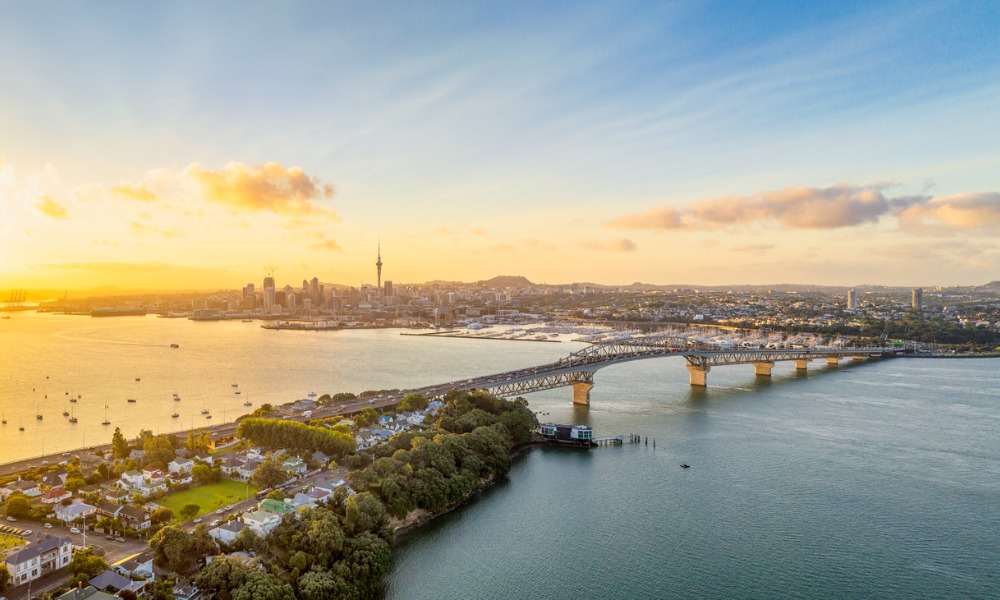 Auckland leads filled jobs growth in November