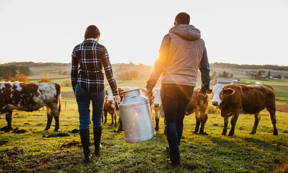 'Unfairly targeted': Dairy farm assistant wins unjustified dismissal case