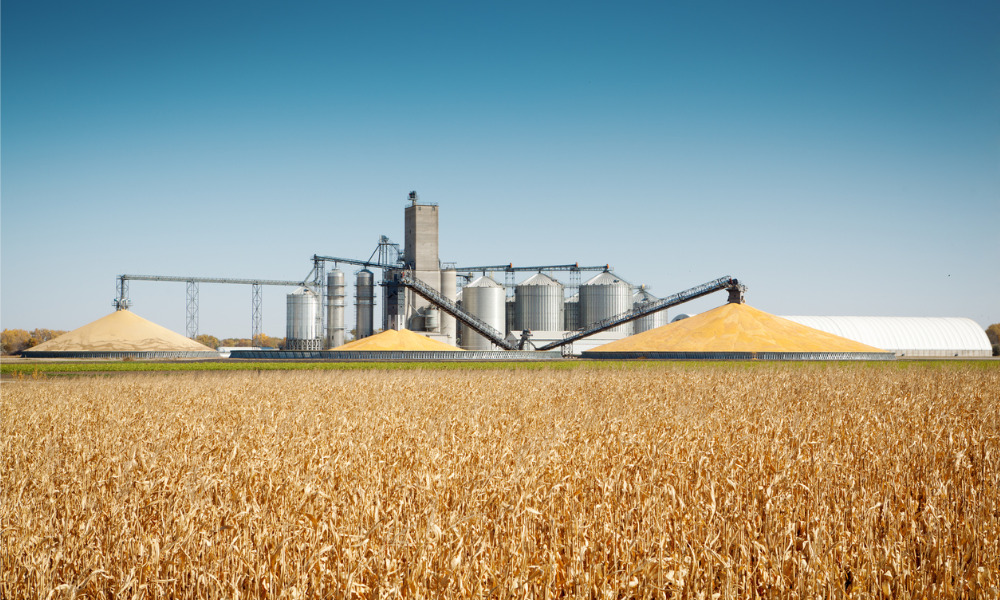Grain facility faces $676,000 fine after corn silo death