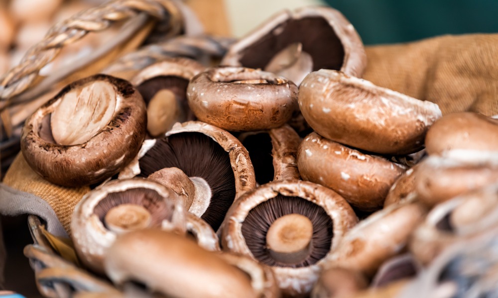 Mushroom grower fined $90,000 after worker pulled into conveyor