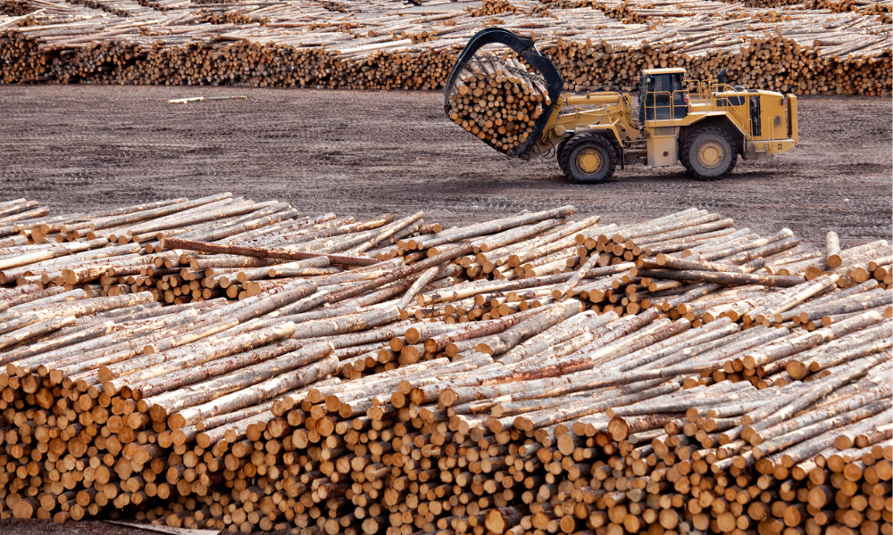Alberta defers timber dues to aid forest companies