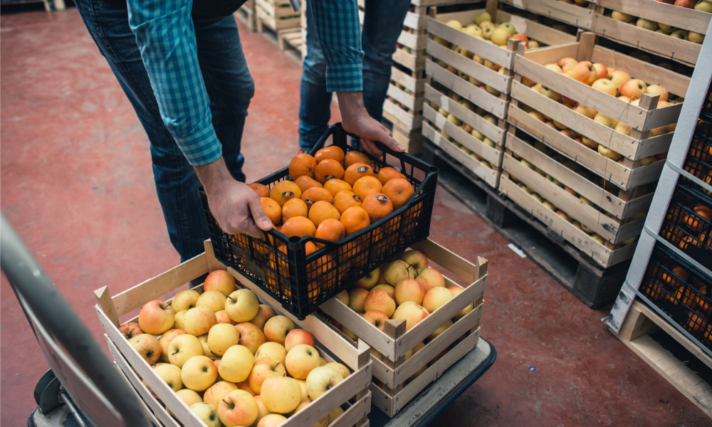 Federal government announces $50M plan to help agriculture and food production workers