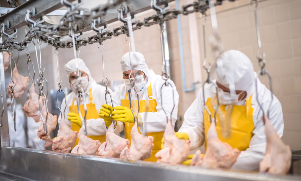 Meat packing plants see rise of COVID-19 cases in Canada and the US