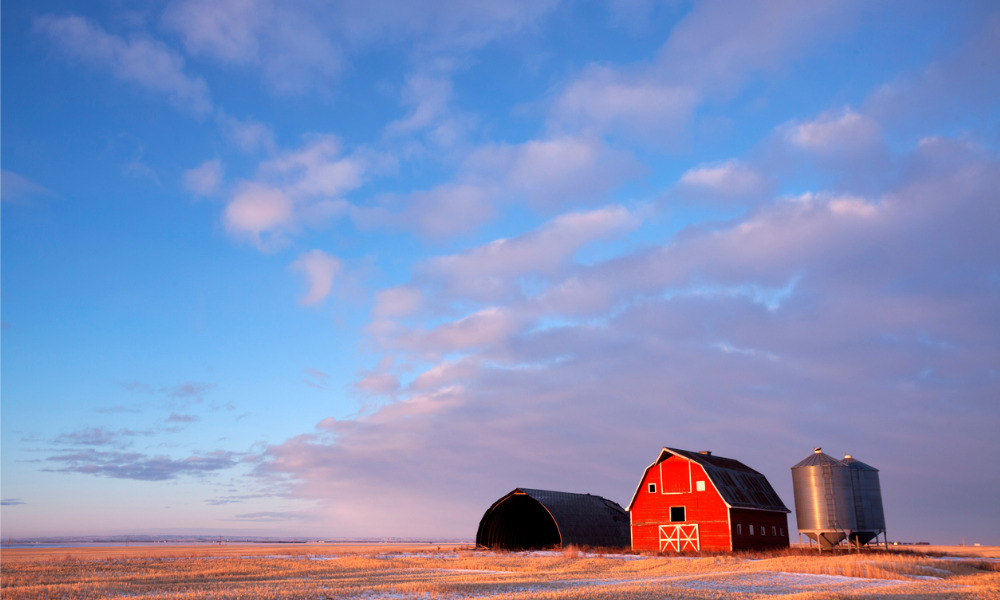 Saskatchewan extends enrollment to AgriStability financial assistance program
