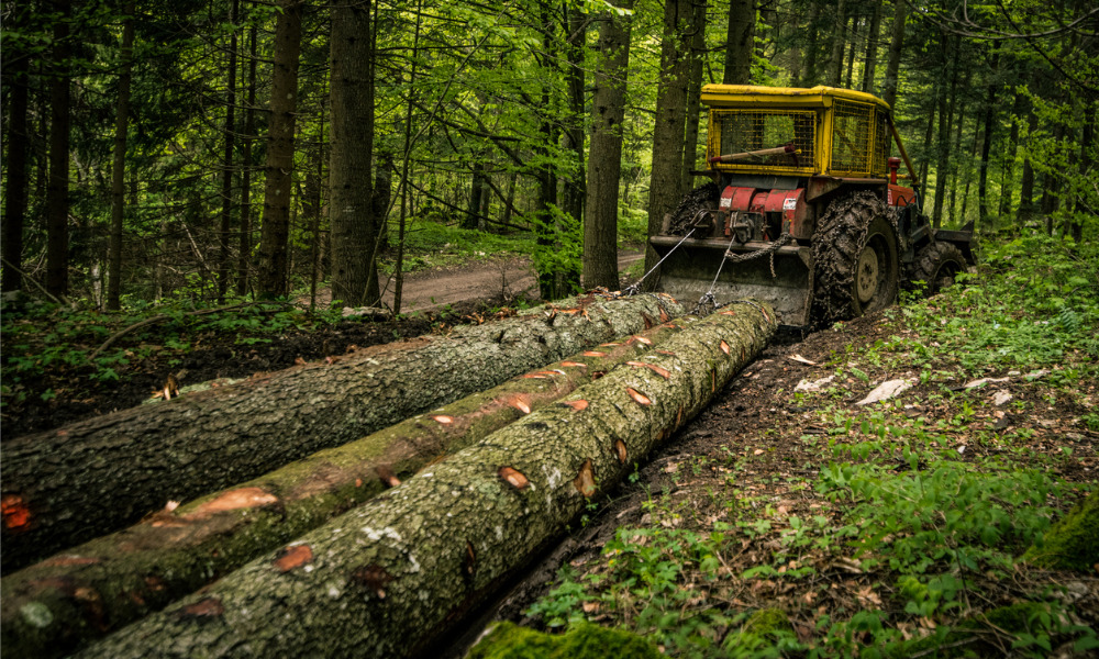 Worker fatally injured in forestry operation, firm fined $73K