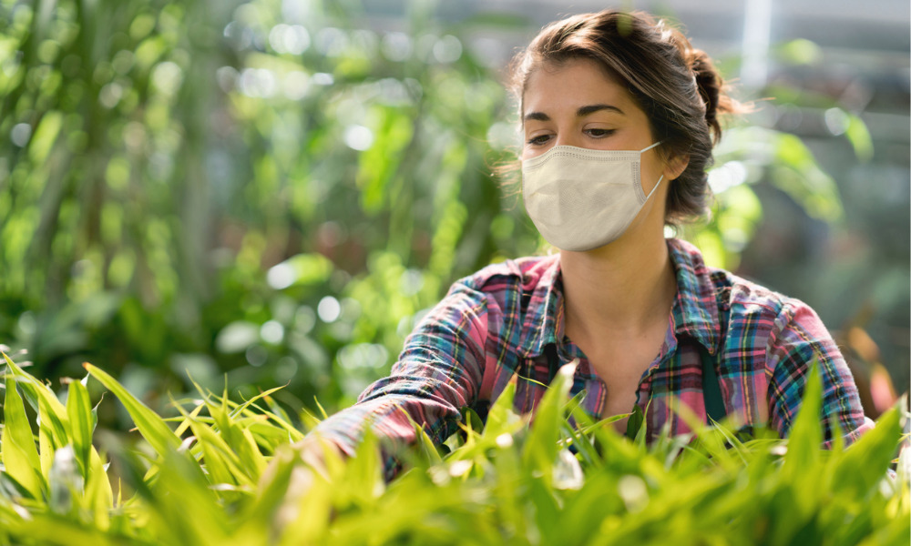 B.C. opening quarantine program for temp workers in agriculture