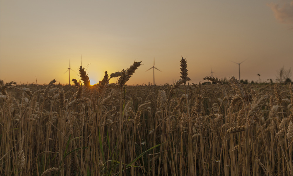 Ontario investing in technology to protect agri-food workers