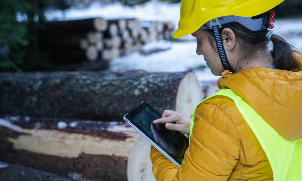 Agriculture & forestry revealed as most dangerous profession