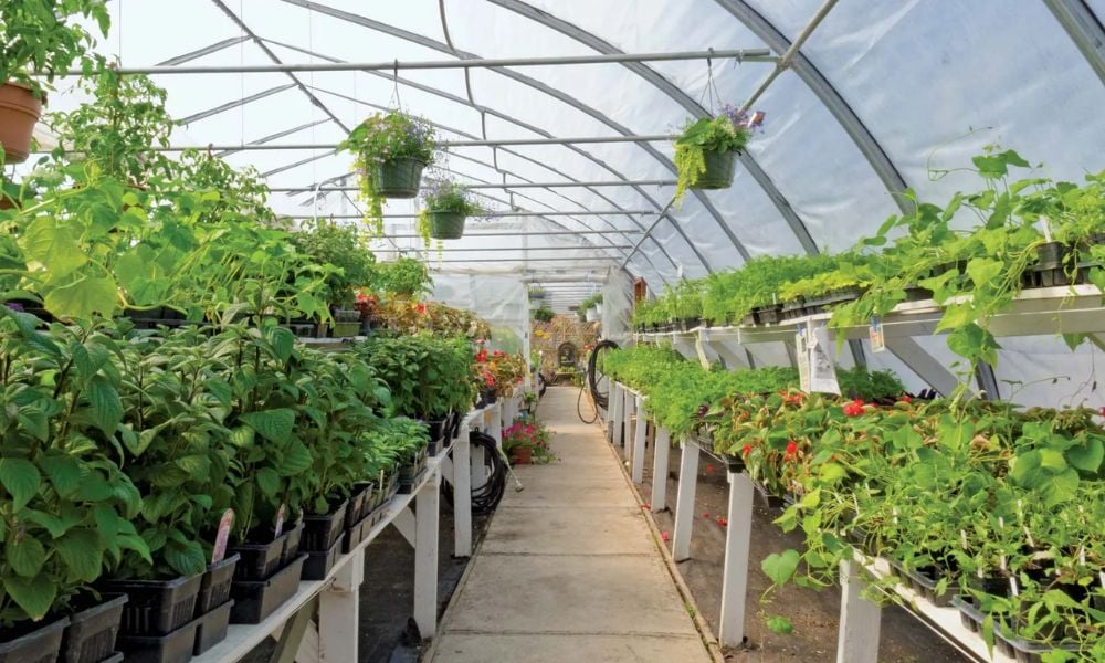 Saskatchewan employer fined after worker was seriously injured in horticulture work