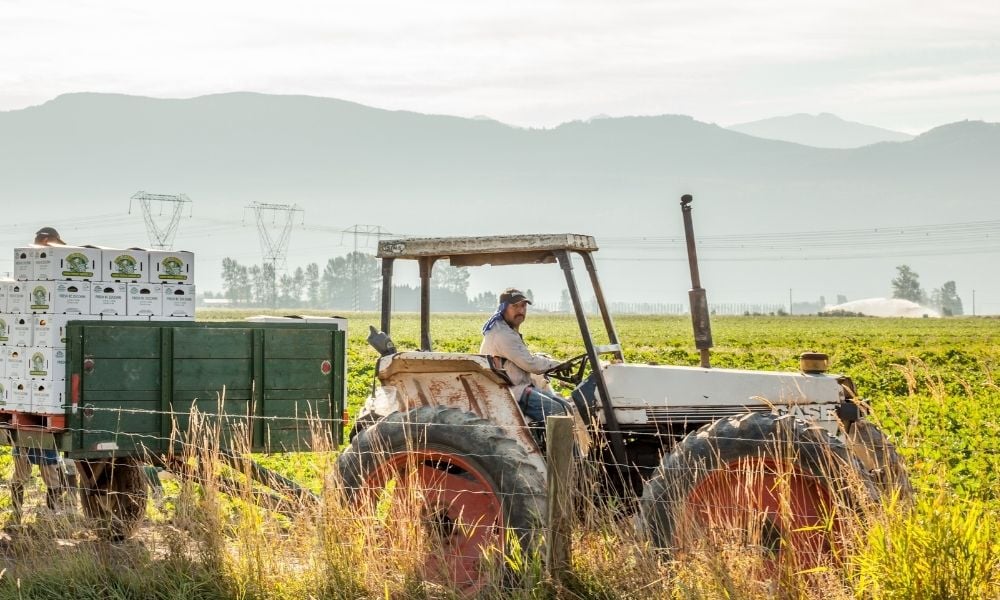 B.C. temporary foreign workers abused by employers, agents: Report