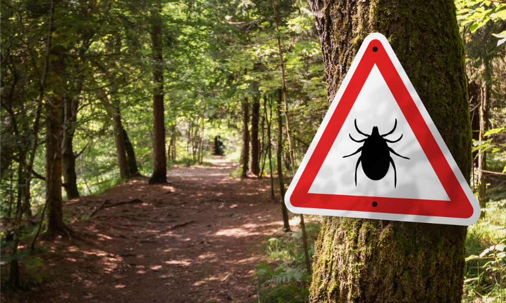 How to prepare for tick season