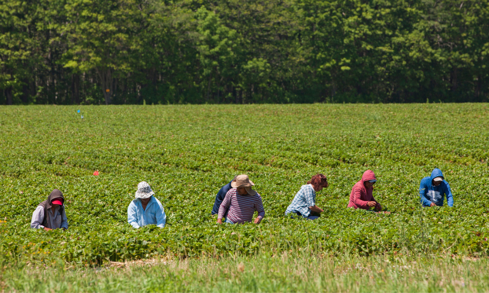 Lack of protection for migrant workers 'a story that keeps repeating'