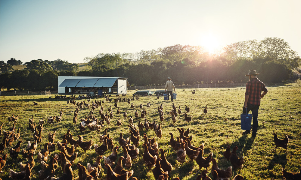 Why farmers could be on the frontlines of the next pandemic