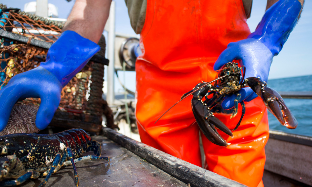 Atlantic lobster fishing season begins with tragedy