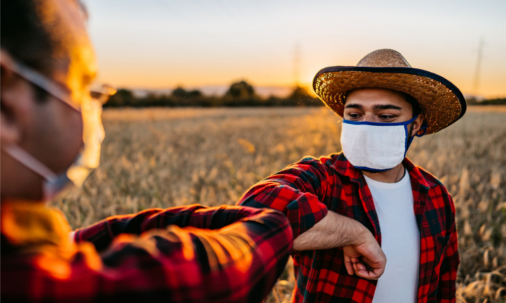 Canadian farmers doubly hit by COVID, wildfires