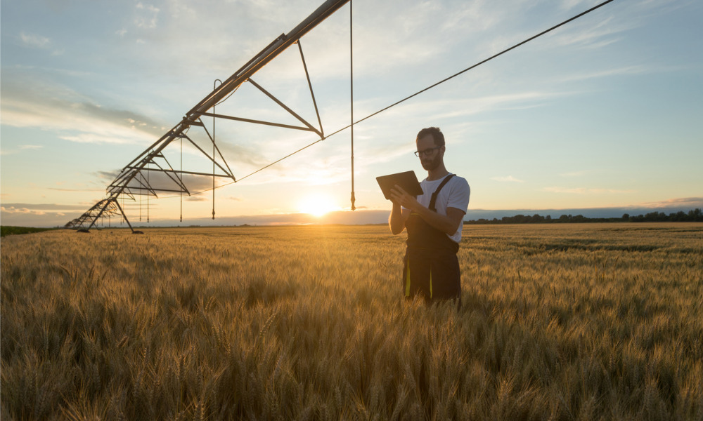 Federal government improving inspections process in agricultural sector