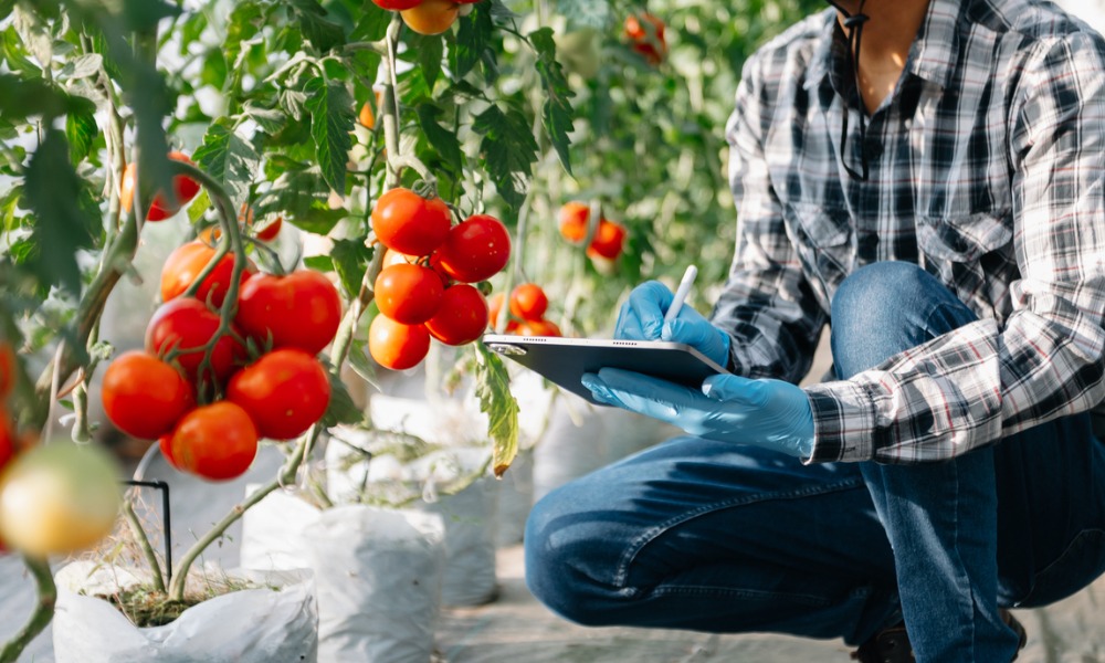 Investing in food safety and industry growth