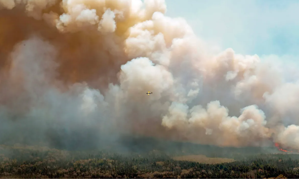 Mitigating the risks posed by wildfires and climate change