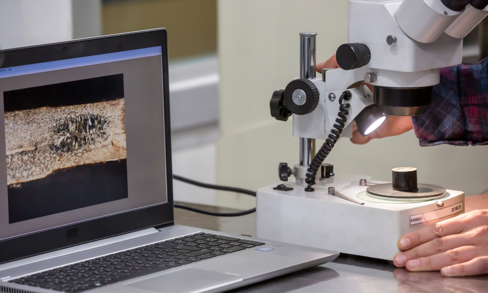 Metal toxicity and the body