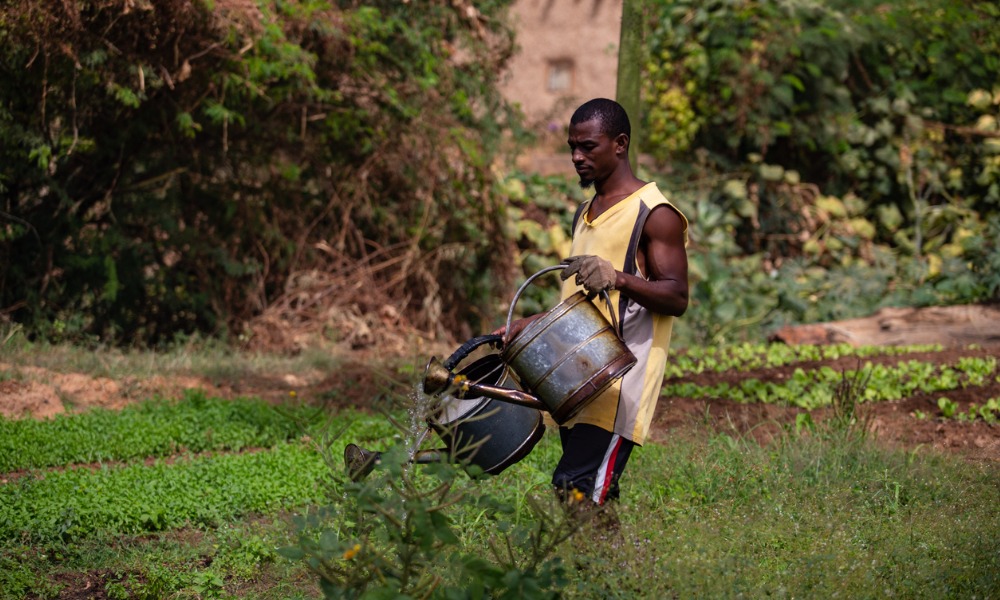 'They think of us as some type of a slave': Jamaican farm workers