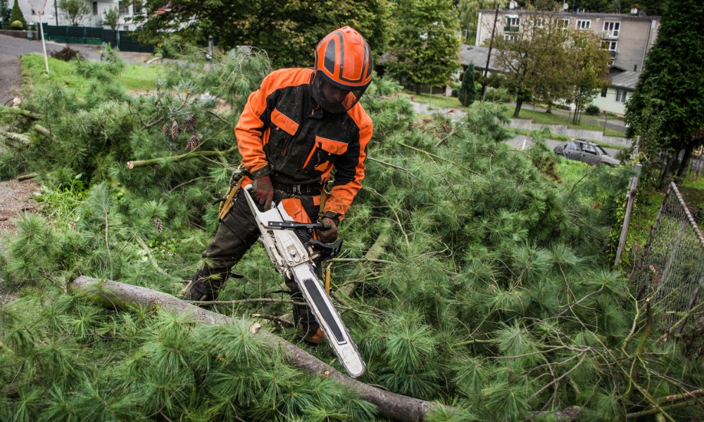 Chainsaw safety equipment: an essential checklist for logging and construction worksites