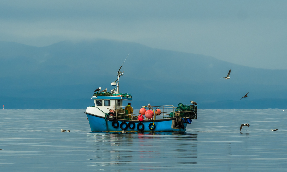 P.E.I. Implements New Fishing Safety Rules