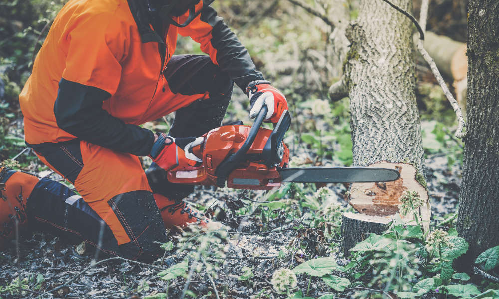 How to choose the best chainsaw pants for your logging and forestry team