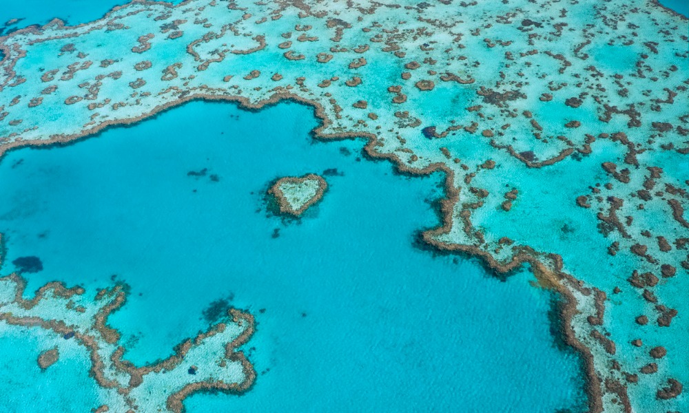 Physicist loses High Court fight against university over Great Barrier Reef comments