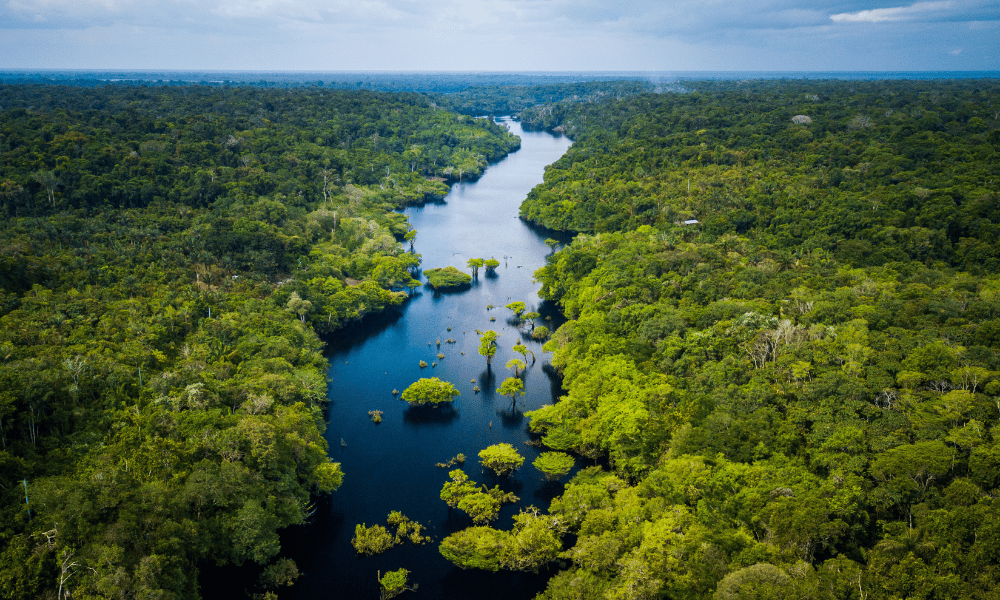 Peruvian court sentences four men in murder-for-hire killing of Indigenous Amazon defender