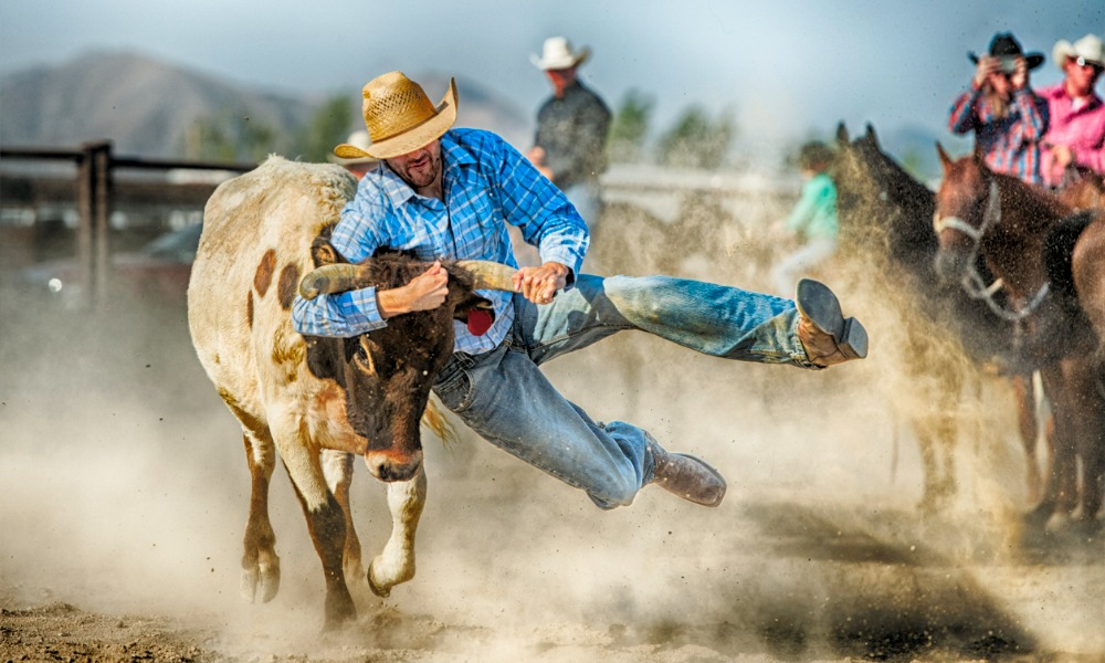 NZ Animal Law Association challenges agriculture minister on rodeo ban inaction