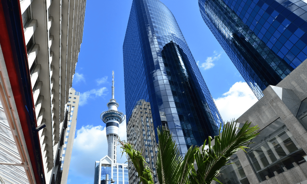 Parry Field Lawyers launches in Auckland